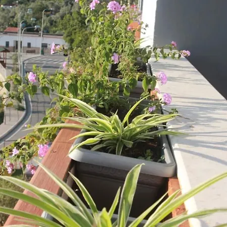 호텔 Rozmarine Pellumbas