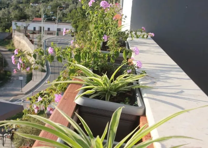 Hotel Rozmarine Pellumbas